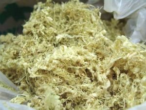 竹茹的功效与作用及禁忌