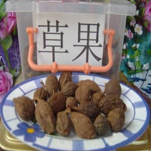 草果的功效与作用及食用方法