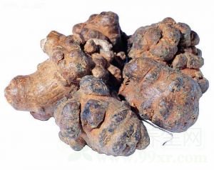 三七花的功效与作用及禁忌