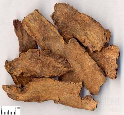 锁阳的功效与作用及食用方法