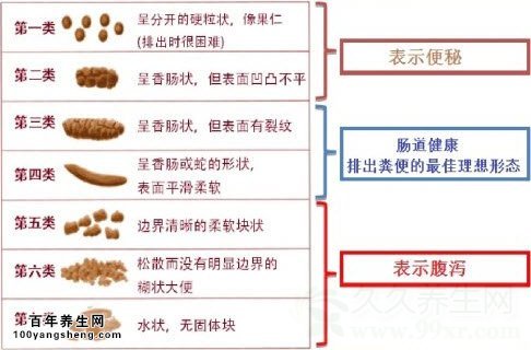 北京卫视养生堂视频20140928:治疗便秘,长期便秘怎么办