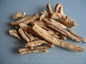 牡丹皮的功效与作用及禁忌