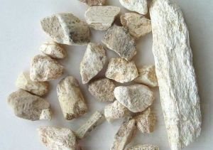 龙骨的功效与作用及禁忌