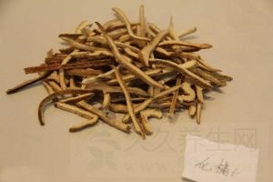 橘红的功效与作用及禁忌