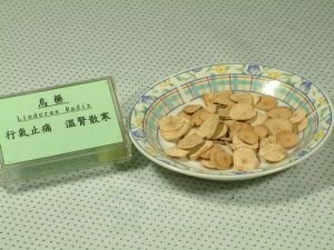 乌药的功效与作用及禁忌