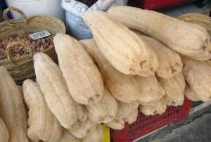 丝瓜络的功效与作用及禁忌