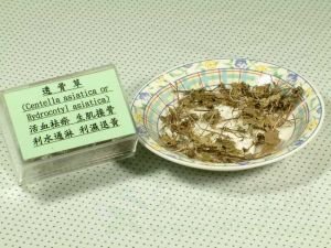 透骨草的功效与作用及禁忌