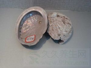 石决明的功效与作用及禁忌