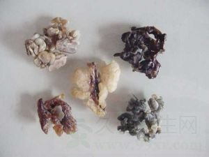 蛤蟆油的功效与副作用