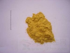 蒲黄的功效与作用及禁忌