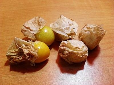 菇茑的营养价值
