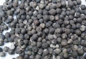 蔓荆子的功效与作用及禁忌