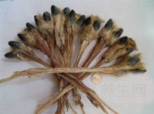 鹿筋的功效与作用及食用方法
