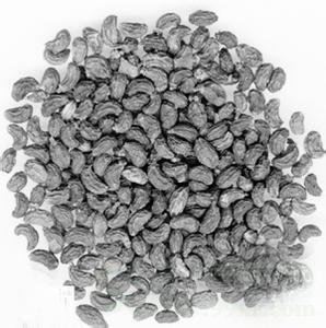 女贞子的功效与作用及食用方法