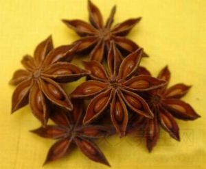 八角茴香的功效与作用及禁忌