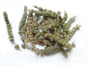 荆芥穗的功效与作用及禁忌