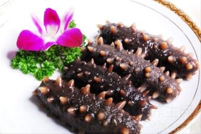 海参的功效与作用及食用方法