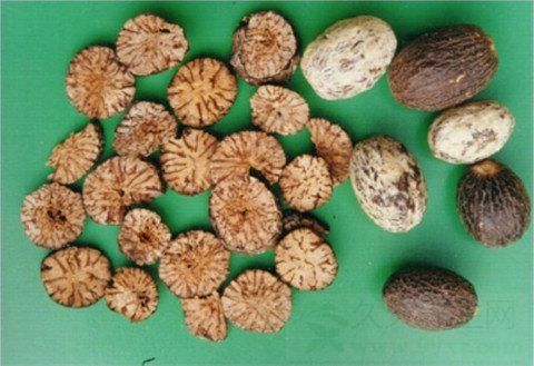 肉蔻的功效与作用及食用方法