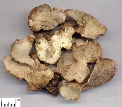 白芨的功效与作用及食用方法
