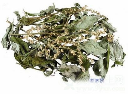 刘寄奴的功效与作用及食用方法