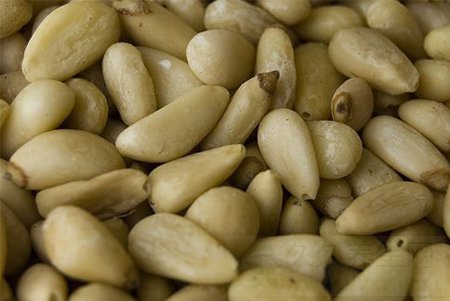 松子的功效与作用及食用方法