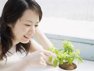 阿胶的适用人群有哪些?