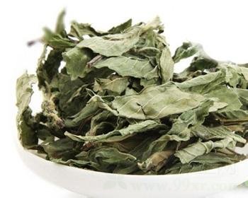 荷叶的功效与作用及食用方法