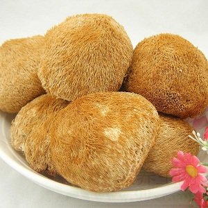 猴头菇的功效与作用及禁忌
