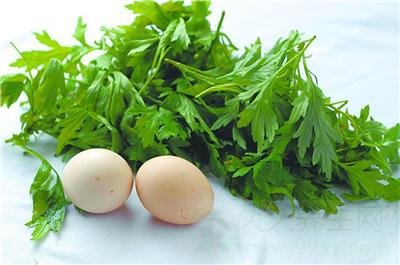 艾草的功效与作用及食用方法