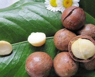 夏威夷果的功效与作用及食用方法