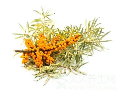 沙棘的功效与作用及禁忌
