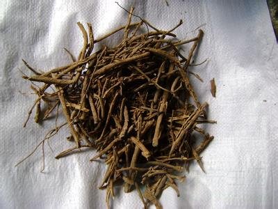 刺五加的功效与作用及食用方法