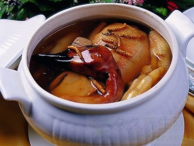虫草的功效与作用及食用方法