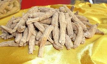 花旗参的功效与作用及食用方法