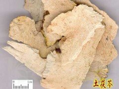 茯苓的功效与作用及食用方法