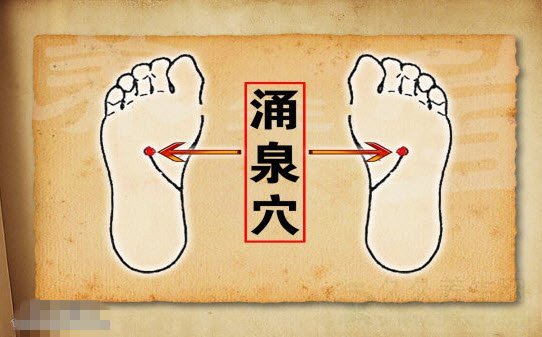 北京卫视养生堂视频20141121:贾立群讲内病外治,生姜的功效与作用