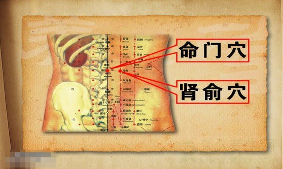 北京卫视养生堂视频20141122:贾立群讲内病外治,艾叶的功效与作用