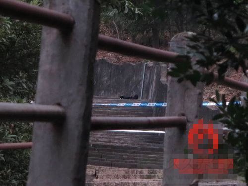 男子登山被殴死