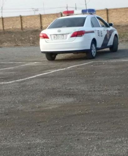 大妈开警车练倒库