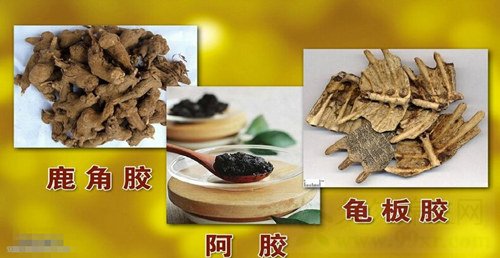 北京卫视养生堂视频20141205:郁仁存,徐咏梅讲得了癌症怎么办,防癌