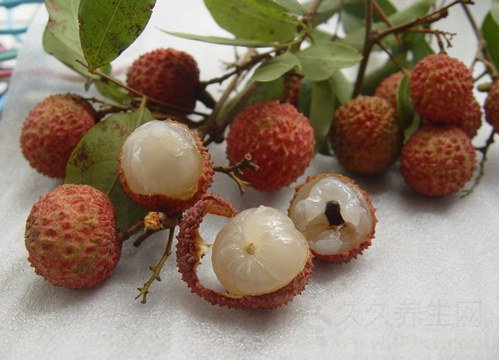 荔枝核的功效与作用及食用方法