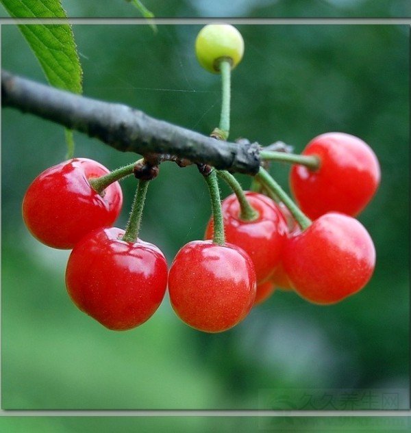 ʹŴ ֪3