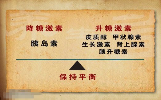 北京卫视养生堂视频20141214:张继春,李文慧讲怎样预防糖尿病,激素