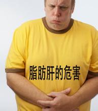 脂肪肝有什么危害