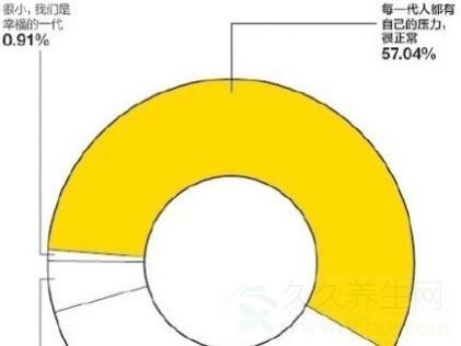 中国80后压力报告
