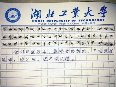 60只蚊子写作文