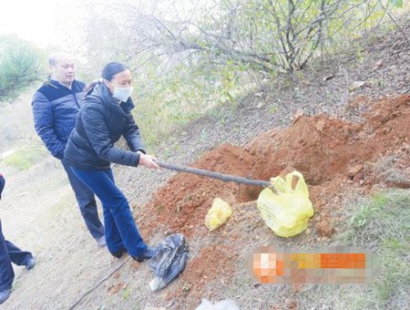 公园10多具死胎