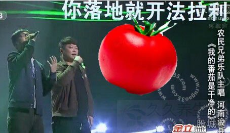 我的番茄是干净的