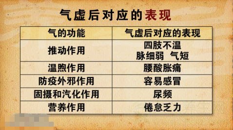 气虚的类型及表现