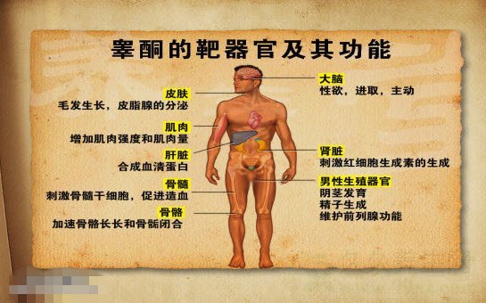 Ƶ20150123:־,Լ,л,Ը